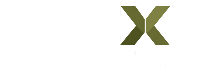 VLEXO Soluciones para tu negocio